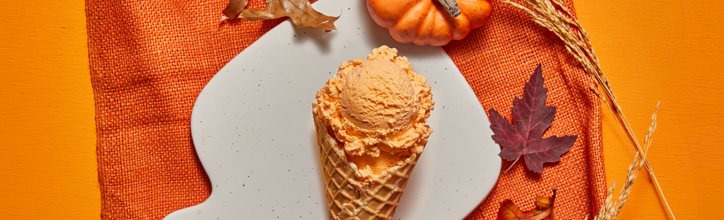 Pumpkin ice cream
